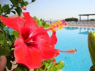 Casarossa Hotel Residence & Beauty Crotone Exterior foto